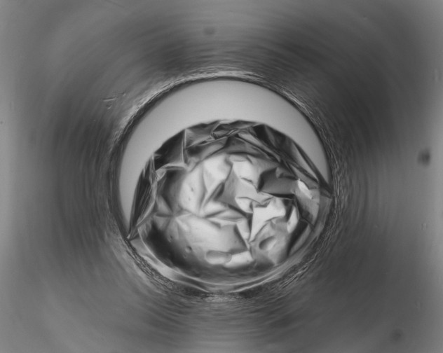 X0000116140350200912141138