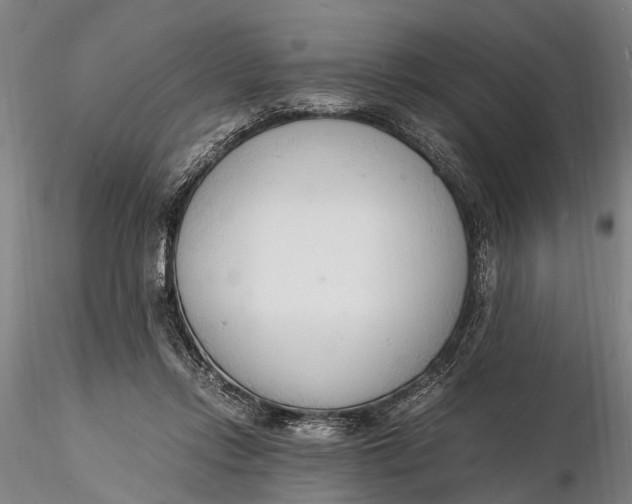 X0000116140358200912141138