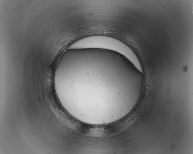 X0000116140362200912141138