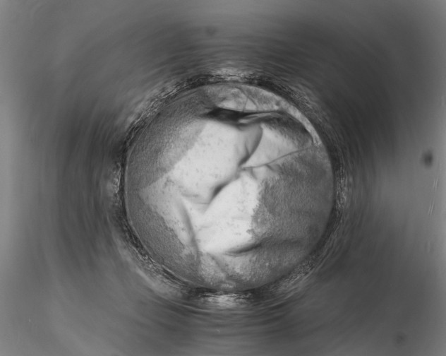 X0000116140365200912141138