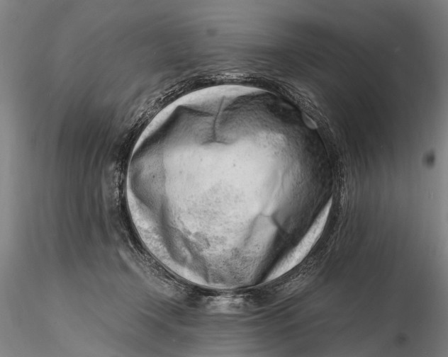 X0000116140366200912141138