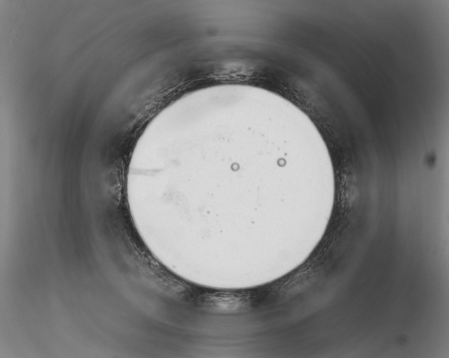 X0000116140370200912141138