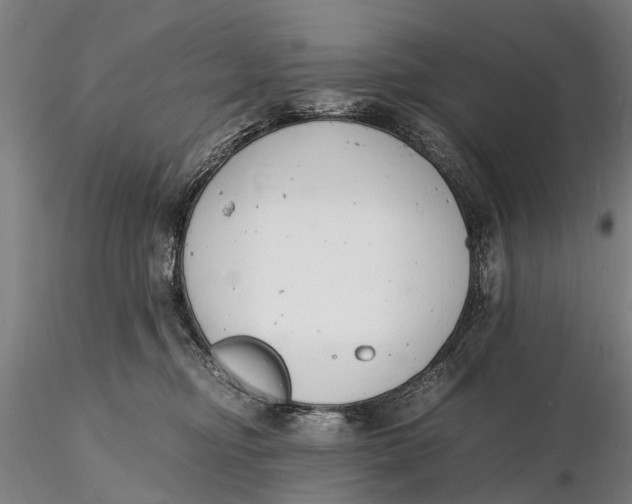 X0000116140374200912141138