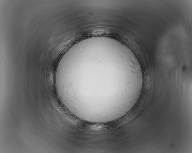 X0000116140375200912141138