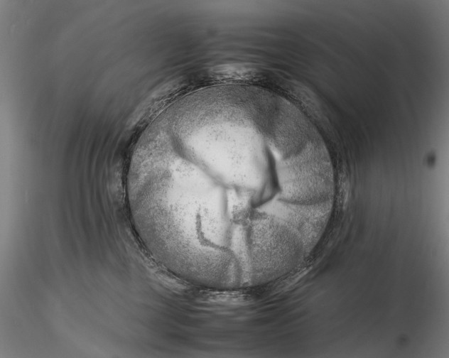 X0000116140377200912141138