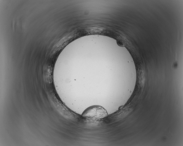 X0000116140378200912141138