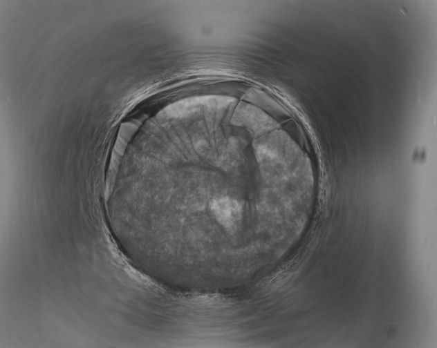 X0000116140385200912141138