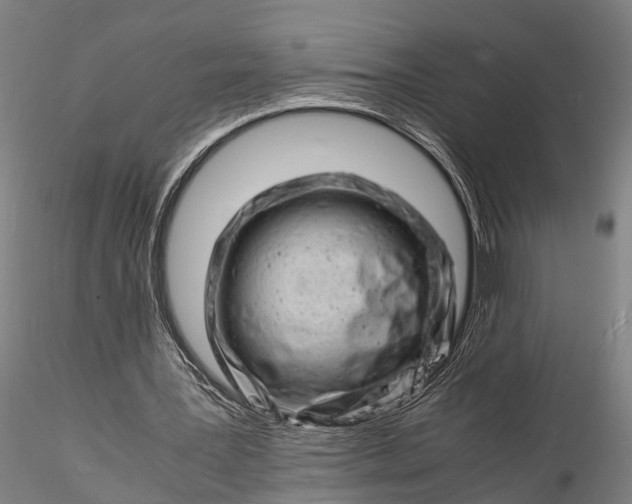 X0000116140387200912141138