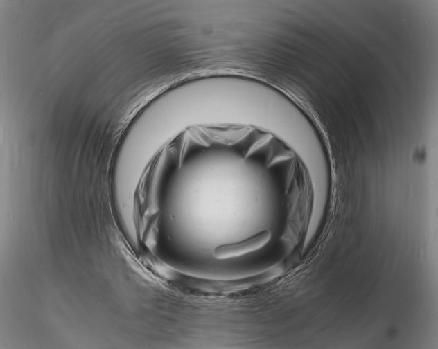 X0000116140389200912141138