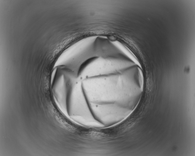 X0000116140393200912141138