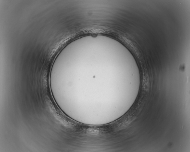 X0000116140394200912141138