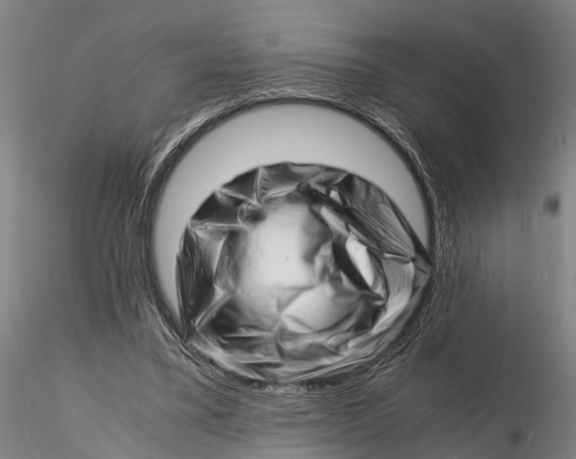 X0000116140395200912141138