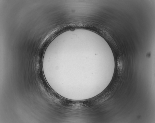 X0000116140396200912141138