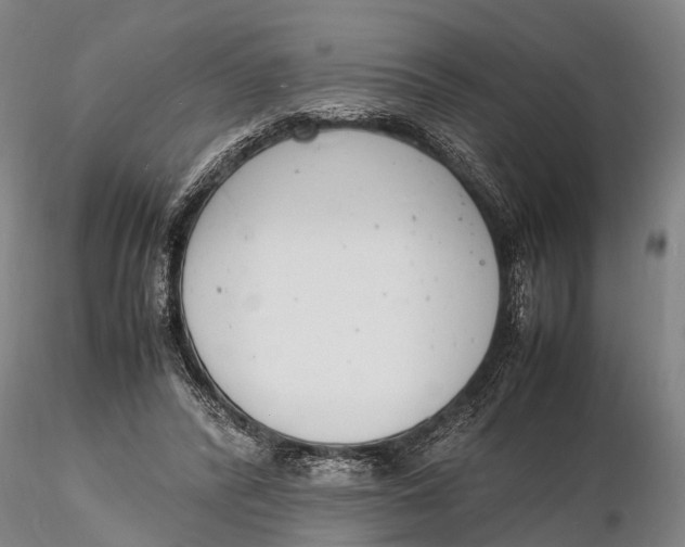 X0000116140400200912141138