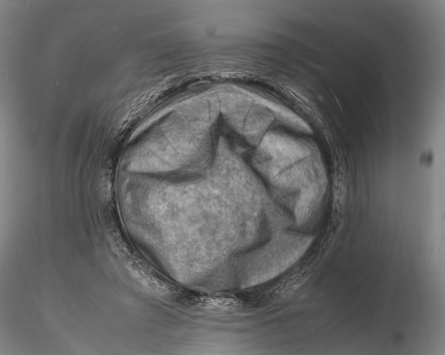 X0000116140401200912141138