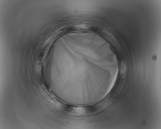 X0000116140409200912141138