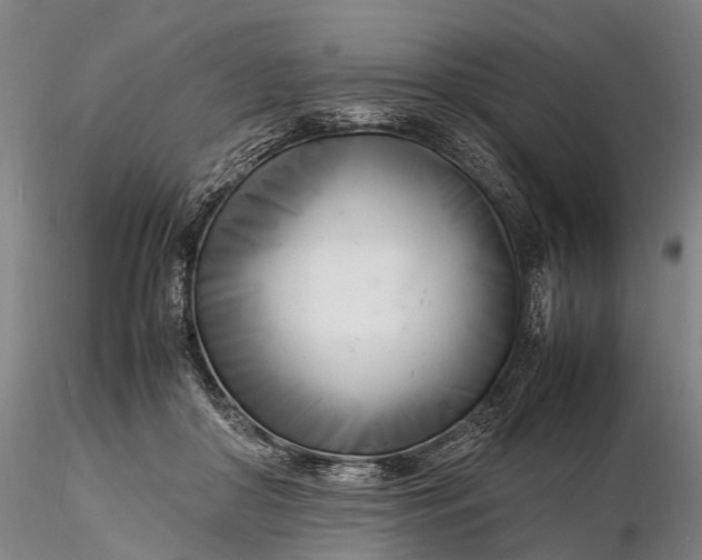 X0000116140410200912141138