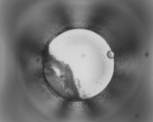 X0000116140411200912141138