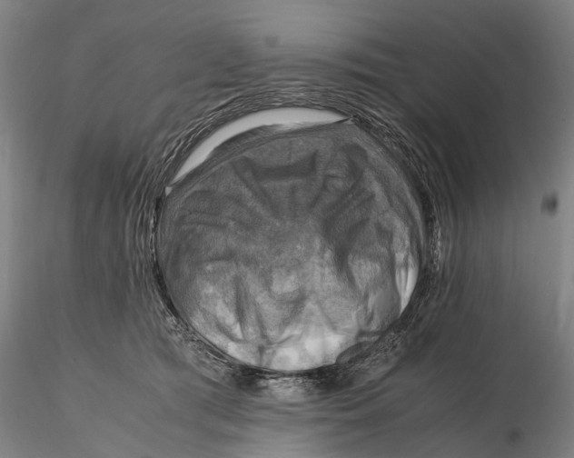 X0000116140417200912141137