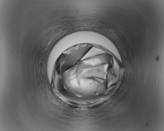 X0000116140419200912141137