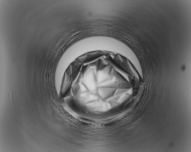 X0000116140421200912141137