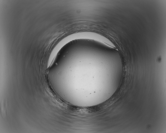 X0000116140423200912141137