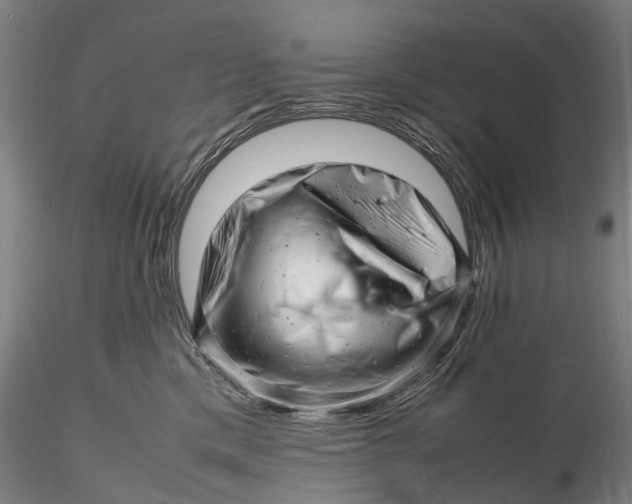 X0000116140425200912141137