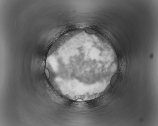 X0000116140427200912141137