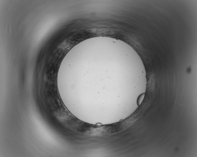 X0000116140430200912141137