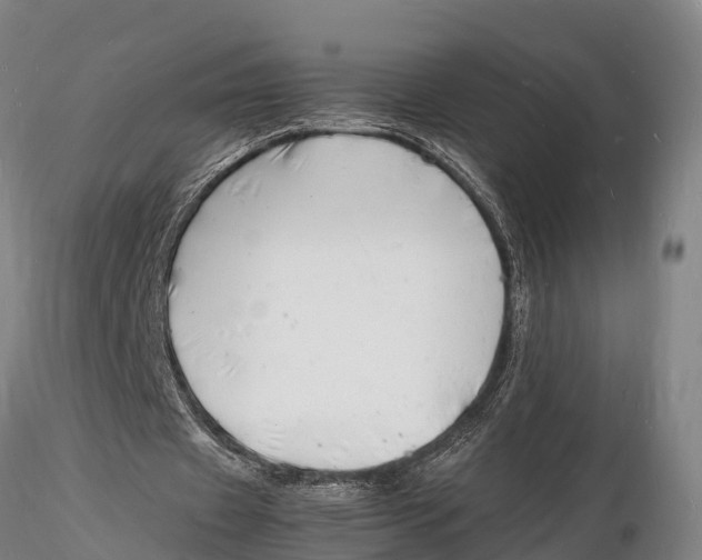 X0000116140433200912141136