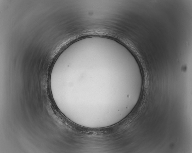 X0000116140434200912141136