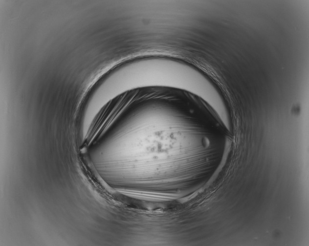 X0000116140436200912141136