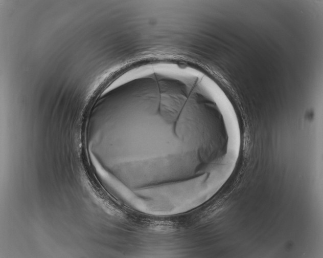 X0000116140438200912141136