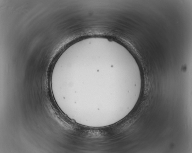 X0000116140439200912141136