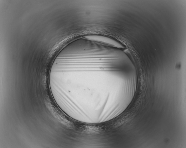 X0000116140442200912141137