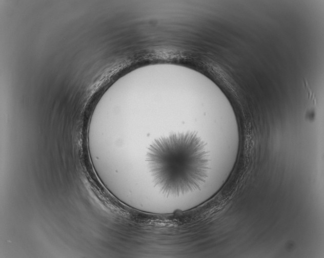 X0000116140443200912141137