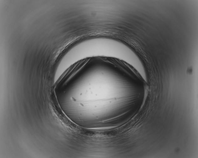 X0000116140444200912141137