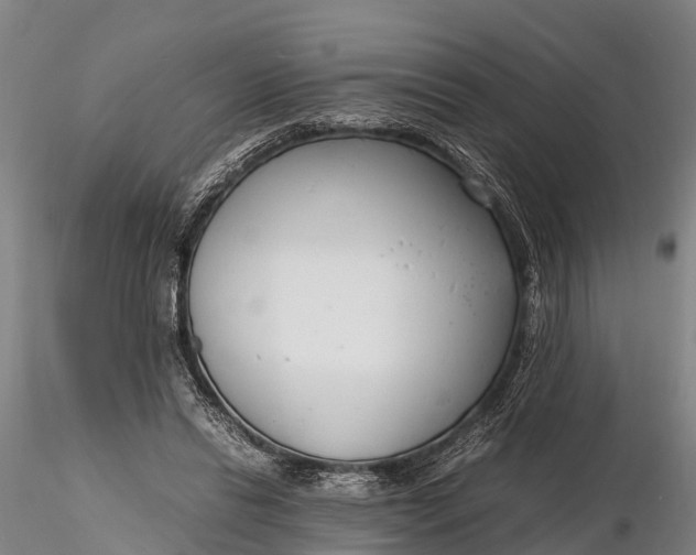 X0000116140446200912141137