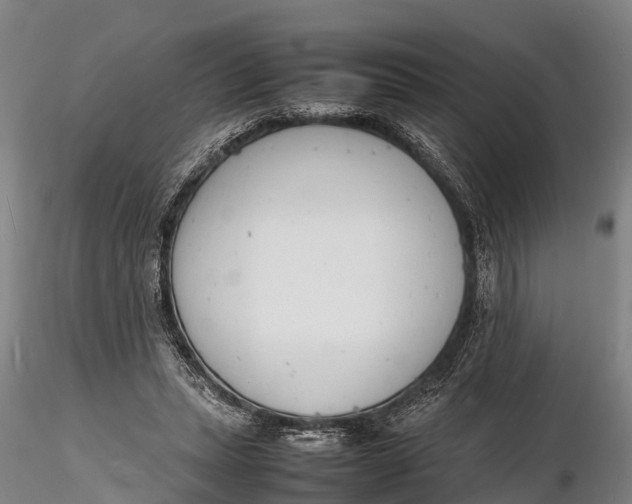 X0000116140447200912141137