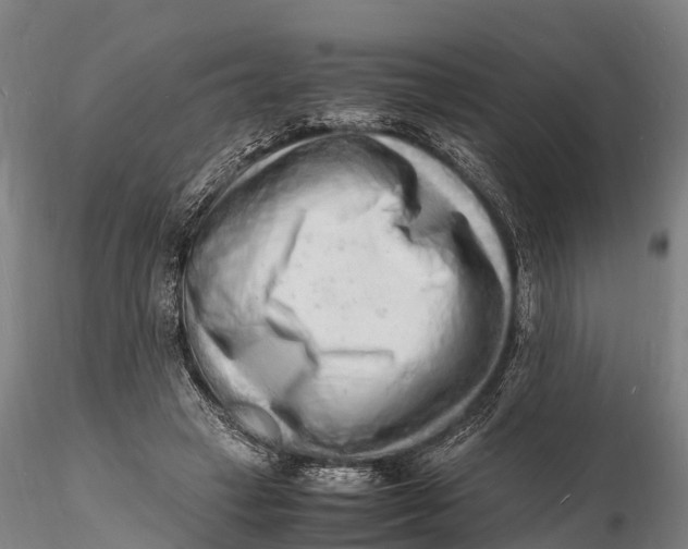 X0000116140449200912141137