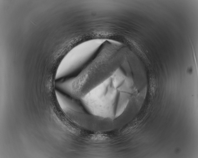 X0000116140451200912141137