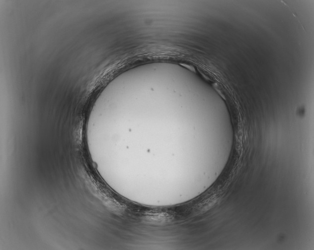 X0000116140454200912141137