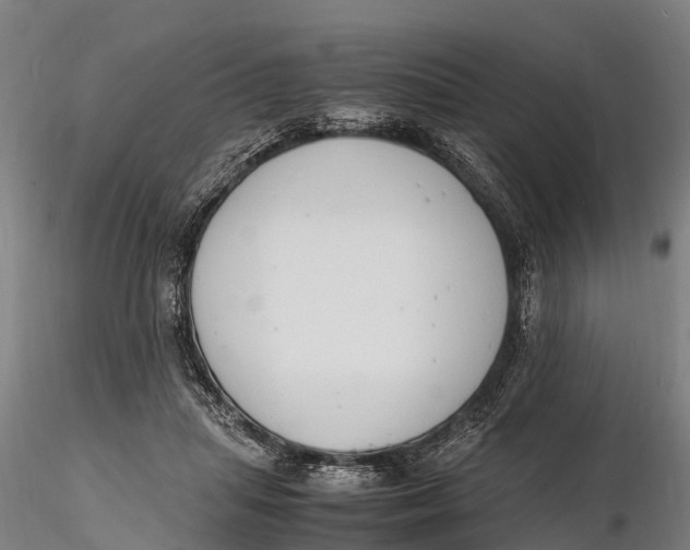 X0000116140455200912141137