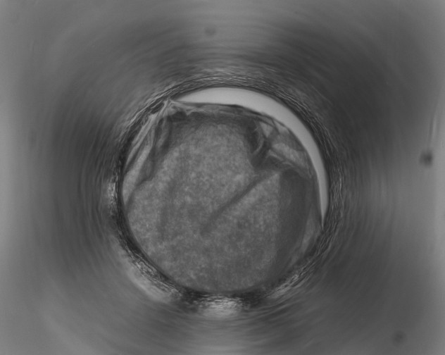 X0000116140456200912141137