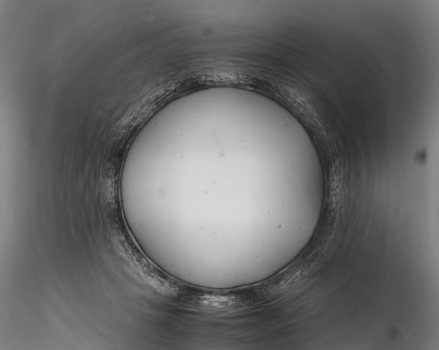 X0000116140457200912141137