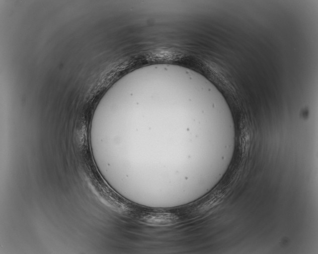 X0000116140459200912141137