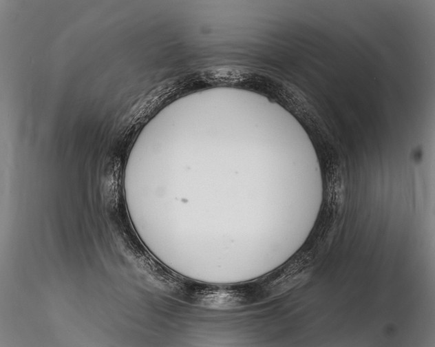 X0000116140460200912141137