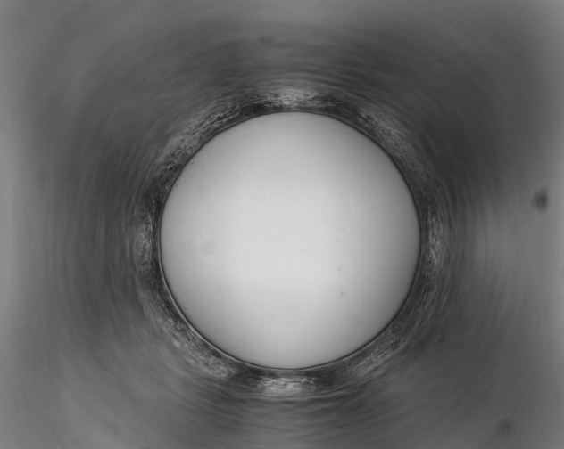 X0000116140461200912141137