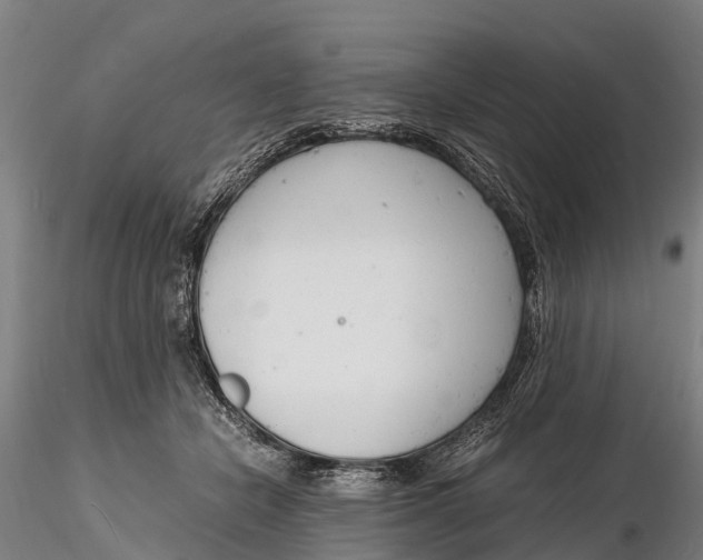 X0000116140462200912141137