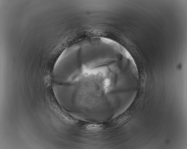 X0000116140465200912141137